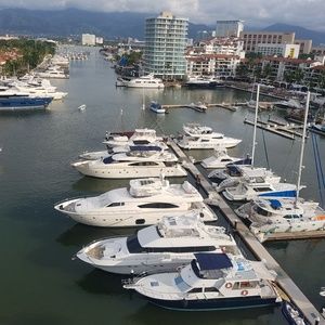 Meet your Posher, Lynne